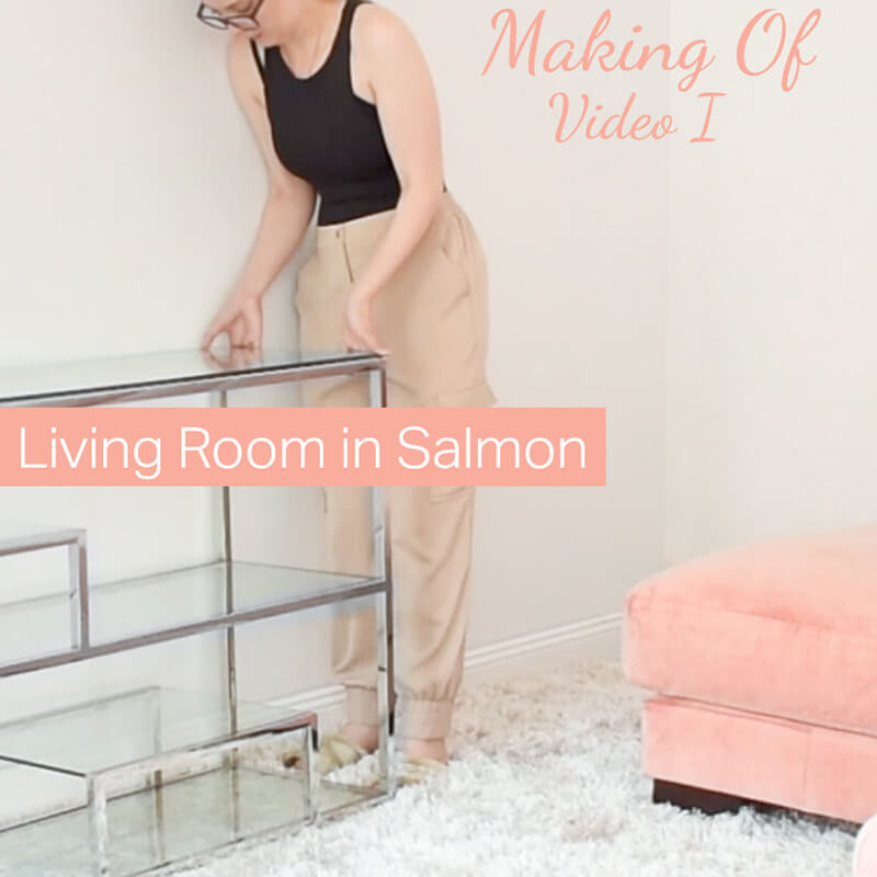 Making Of Video I : Living Room in Salmon