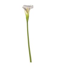 langstielige Kunstblume Calla weiß