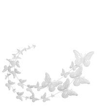 Wandbild Schmetterlinge weiß