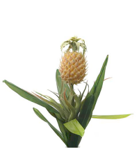 tropischer Ananas Einstieler Strauß