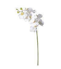 langstielige Orchidee mit vielen Blüten, hohe Kunstblume weiß