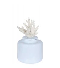 hellblaue Keramikdose mit weißem Korallengriff