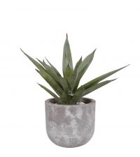 künstliche Aloe Vera Pflanze in grauem Topf, Kunstblumengesteck