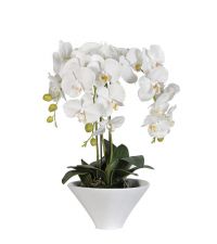 künstliches Orchideengesteck, Orchidee mit weißen Blüten in glänzendem, weißen Keramiktopf