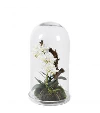 weißes Kunstlumengesteck Phalaenopsis in transparenter Glasglocke