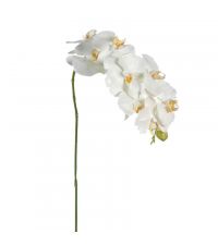 künstlicher Orchideen-Einstieler mit weißen Blüten
