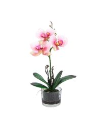 kleine Kunstblume, rosa Orchidee mit Glastopf