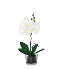 kleine Kunstblume, weiße Orchidee mit Glastopf