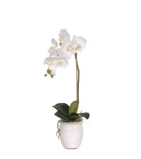 künstliche weiße Orchidee in glasiertem, weißen Topf