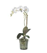 hohes Kunstblumengesteck, weiße Orchidee in rundem Glastopf